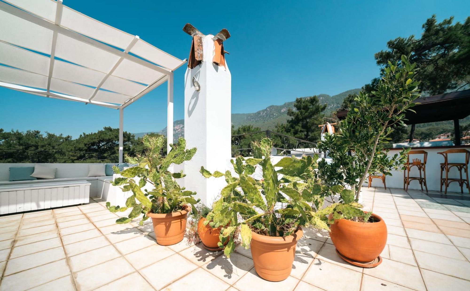 Totelya Hotel Akyaka  Exterior foto