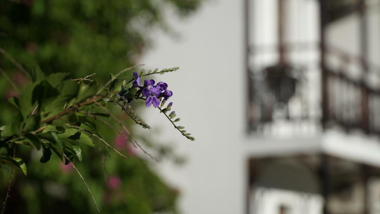 Totelya Hotel Akyaka  Exterior foto